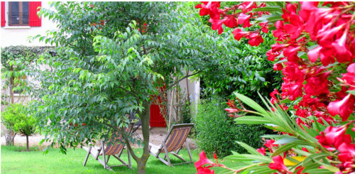 jardin 1000m²,coin repos